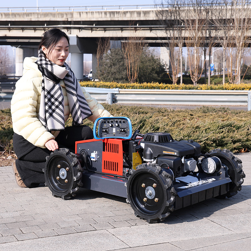 Cortador de Grama a Diesel de  - Hedge Trimmer Cordless avaliação e preço